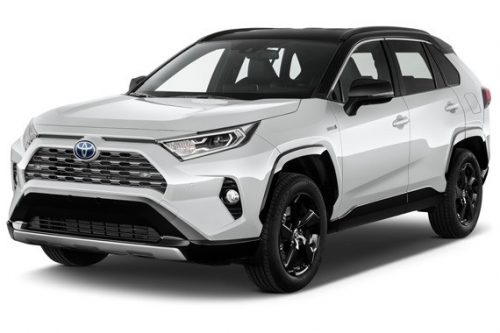 TOYOTA RAV4 (V) HYBRID AUTOTEPPICHE (2019-)