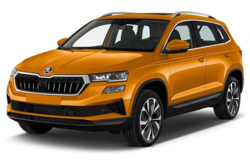 SKODA KAROQ WINABWEISER (2017-)