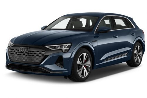 AUDI Q8 E-TRON AUTO GUMMIMATTEN (2023-)