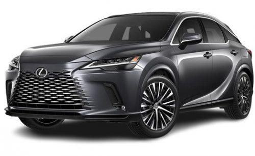 LEXUS RX (AL30) KOFFERRAUMWANNE (2022-)