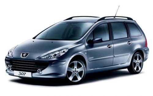 PEUGEOT 307 SW AUTO GUMMIMATTEN (2001-2009)