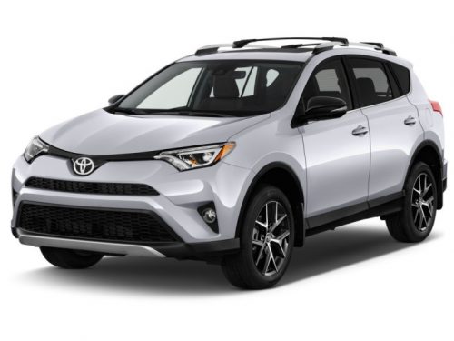 TOYOTA RAV4 (IV) AUTO GUMMIMATTEN (2013-2018)